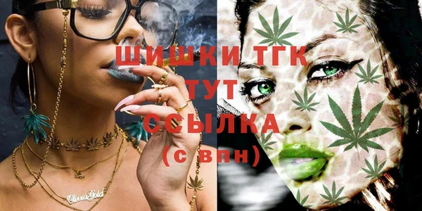 apvp Елабуга