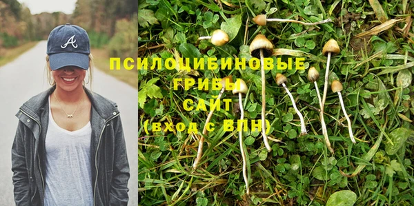 героин Ельня