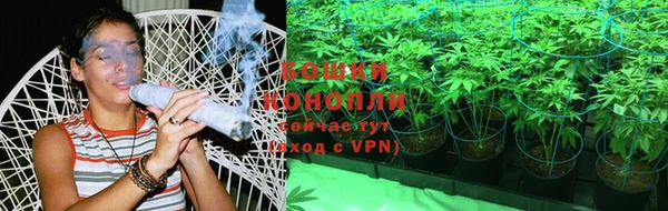 apvp Елабуга