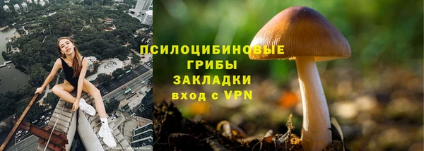 круглые Елизово