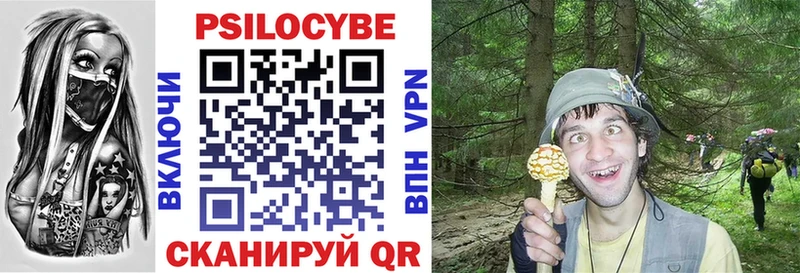 Купить  Южно-Сахалинск  Псилоцибиновые грибы мухоморы 
